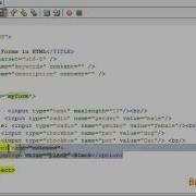 Beginner HTML Tutorial 11 How To Create Forms In HTML5