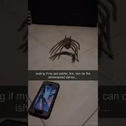 Can My Spider Dance Like IShowSpeed