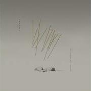 AMULETS MYRIADS NEW ALBUM