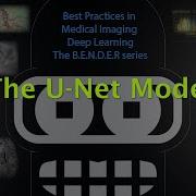 The U Net Model