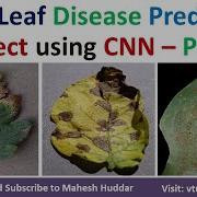 Part 1 Plant Leaf Disease Prediction TensorFlow Keras CNN Streamlit Machine Learning Mahesh Huddar