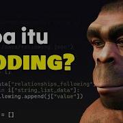 Apa Itu Programming Belajar Coding 1