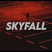Besomorph RIELL Skyfall