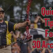 Quick Tips For 3D Archery