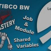 TIBCO BusinessWorks Shared Resources Module Job Shared Variables Process Logging Lesson 5