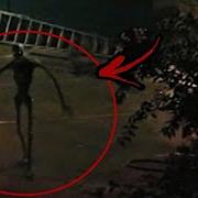 Top 10 Terrifying Cryptids From Ohio That Actually Exist