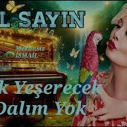 Emel Sayın Artık Yeşerecek Bir Dalım Yok