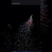 Particle Flower Effect With Mouse Move Web Teacher Shorts Coding Frontendcourse