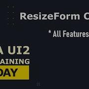 Guna UI2 Resize Form Component