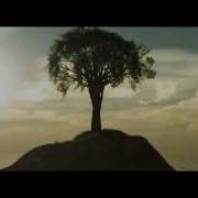 Time Lapse Tree Growing