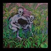 Indigo De Souza Sick In The Head Official Audio