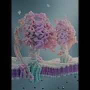 Animated ATP Synthase
