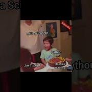 Data Scientist Engineering Programmingmemes Coding Shorts Viral Funny