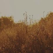 Dub Techno Mix 95