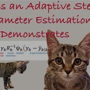What Is An Adaptive Step Size In Parameter Estimation