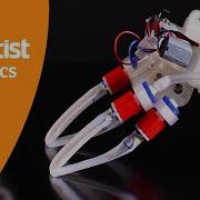 This Soft Robot Thinks With Its Legs