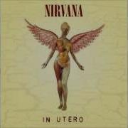 Nirvana Very Ape Audio