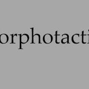 How To Pronounce Morphotactics