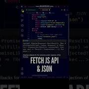 Read A Local JSON File In JavaScript Using Fetch API Shorts Javascript Programming Api