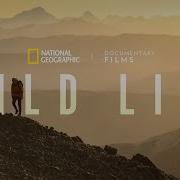 Wild Life Official Trailer National Geographic