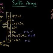 Advanced Data Structures Suffix Array Search