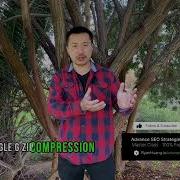 Accelerate Your Website Speed By 300 With GZip Compression WebPerformance