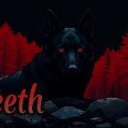 Dog Teeth Lyrics