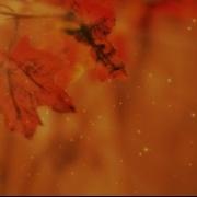 Motionbolt Com Falling Leaves