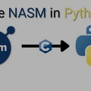 Using Assembly NASM With Python Tutorial