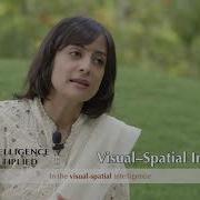 Visual Spatial Intelligence