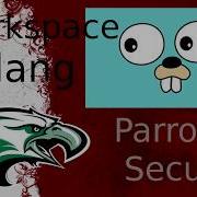 How To Set Golang Workspace Binary Install With Terminal On Parrot Security Linux
