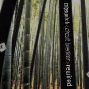 TRIPSWITCH Viscous Eat Static S Jumbled Noise Rmx