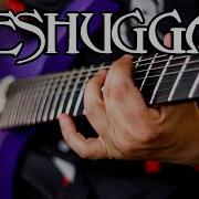 TOP 10 MESHUGGAH RIFFS