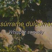 The Little Dippers Forever Sub Español Lyrics