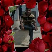 Qpy