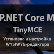 ASP NET Core MVC Установка и настройка WYSIWYG редактора TinyMCE