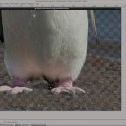 G MIC Tutorial 7 Easy Foreground Extraction In GIMP With The G MIC Plug In
