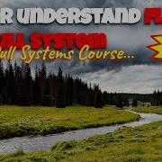 Better Understand Flow In A Pull System