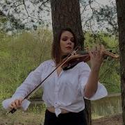 Titanium Violin Cover Natalia Serweta