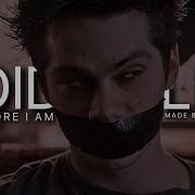 Void Stiles Therefore I Am