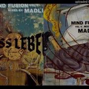 Madlib Mind Fusion 3 And 5 Unknown Tracks