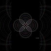 Draw Flower Using Graphics In C Language Coding Shorts Shortvideo Programming Coding