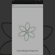 Flower Trick In Python Programming Shorts Youtubeshorts Viral Trending Youtube Shortvideo Ytshorts