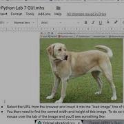 Paste Photo Codeskulptor