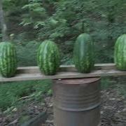 Colt Anaconda 44 Magnum VS Watermelons