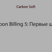 Carbon Billing 5 Первые шаги