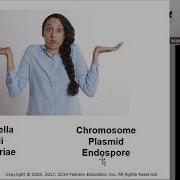 Chapter 3 Part 2 2 Cell Structure And Function