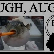 Why This Pufferfish Ate A Carrot