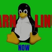 Linux Programming Tutorial For Absolute Beginners In Bioinformatics And Data Science 2023