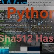 Sha512 Hash With Python On Linux